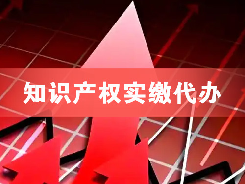 海城知识产权实缴资本代办